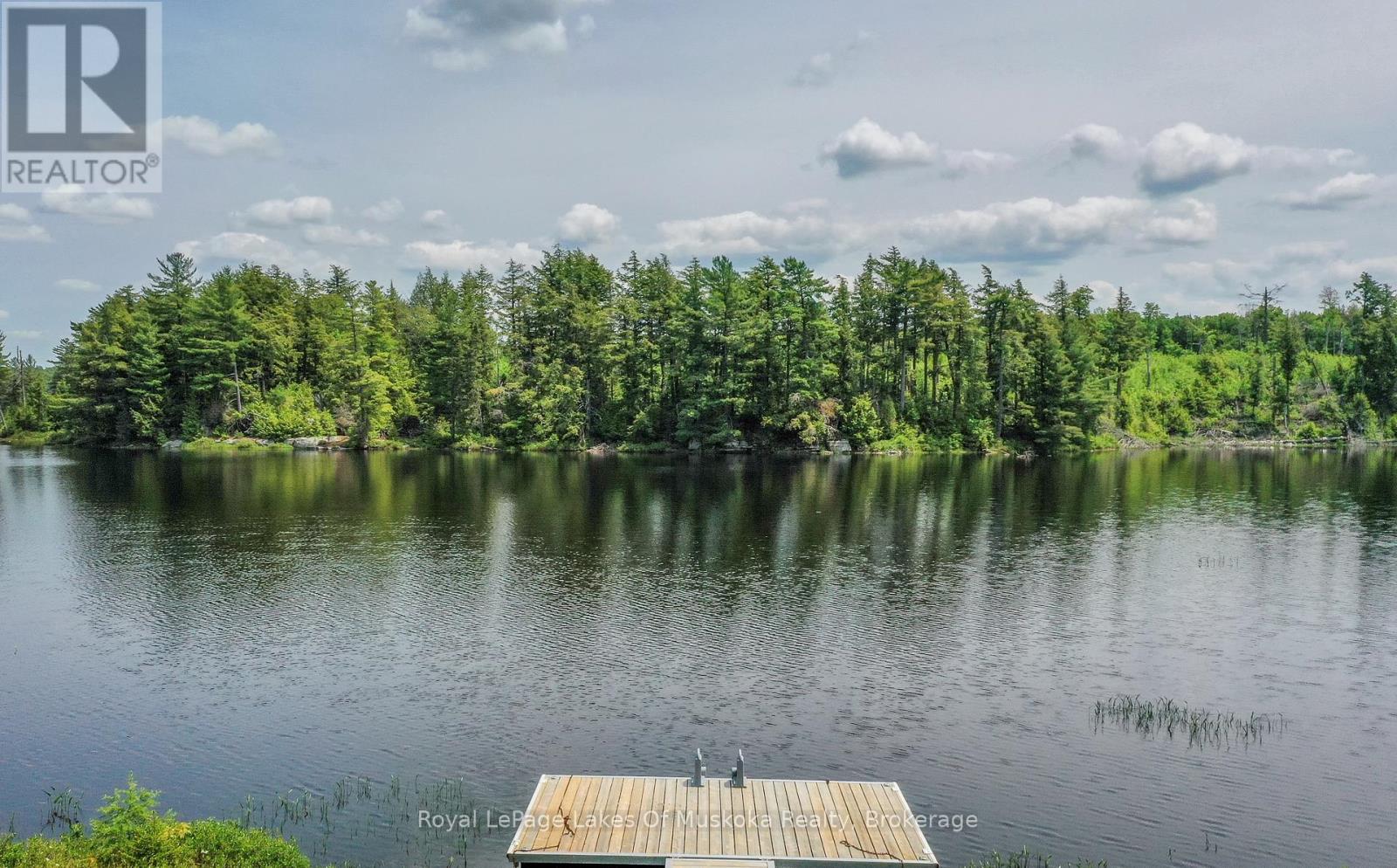 1420 Limberlost Road, Lake Of Bays (Sinclair), Ontario  P1H 2J6 - Photo 37 - X12890232