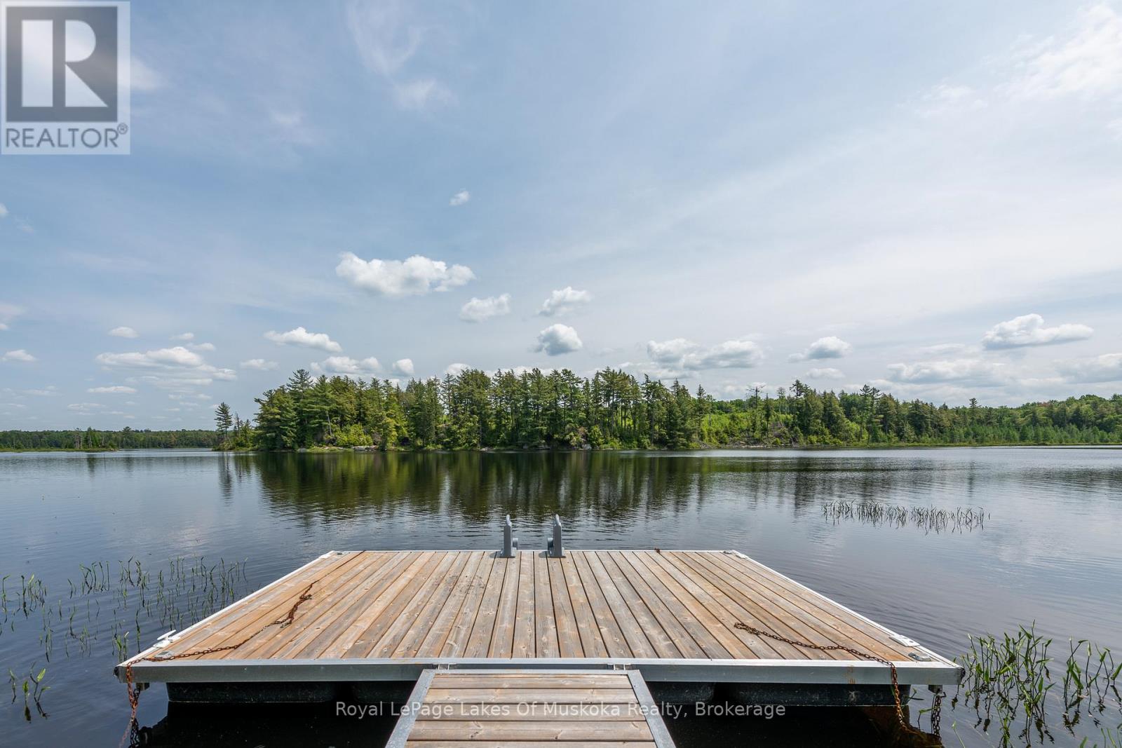 1420 Limberlost Road, Lake Of Bays (Sinclair), Ontario  P1H 2J6 - Photo 39 - X12890232