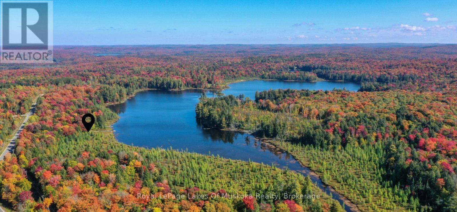 1420 Limberlost Road, Lake Of Bays (Sinclair), Ontario  P1H 2J6 - Photo 4 - X12890232