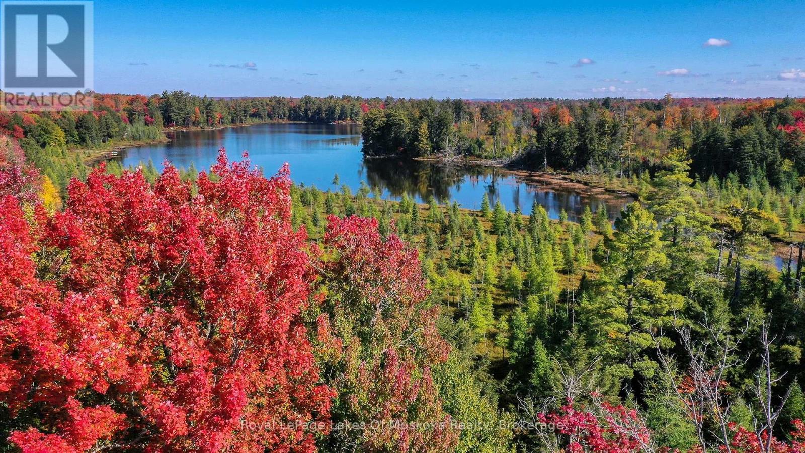 1420 Limberlost Road, Lake Of Bays (Sinclair), Ontario  P1H 2J6 - Photo 47 - X12890232