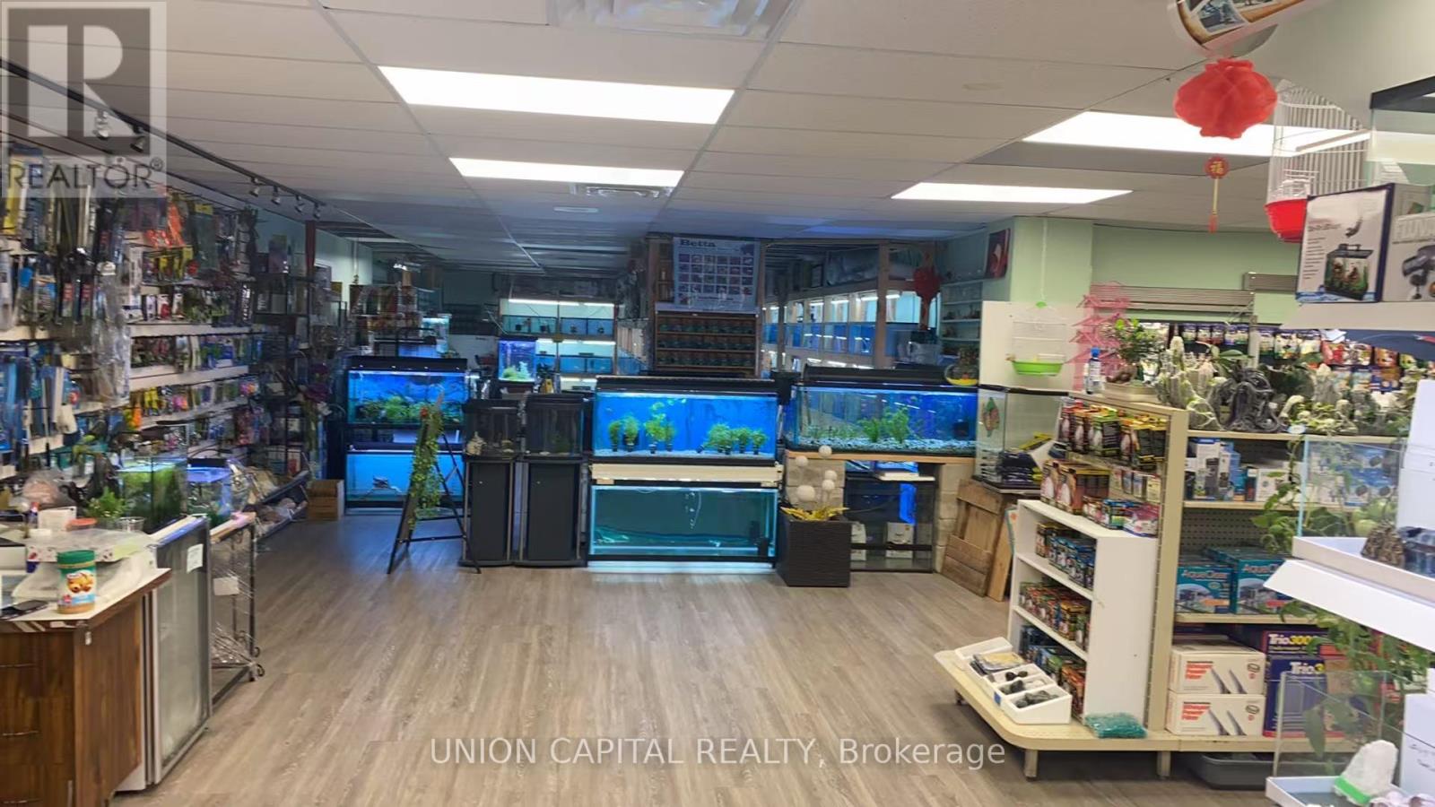 26 - 222 Spadina Avenue, Toronto (Kensington-Chinatown), Ontario  M5T 3B3 - Photo 8 - C12486676