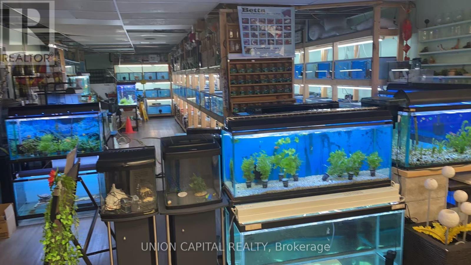 26 - 222 Spadina Avenue, Toronto (Kensington-Chinatown), Ontario  M5T 3B3 - Photo 3 - C12486676