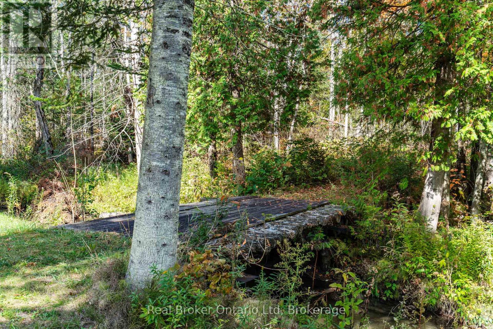 1076 Beaver Lane, Springwater, Ontario  L9X 0M1 - Photo 46 - S12812568