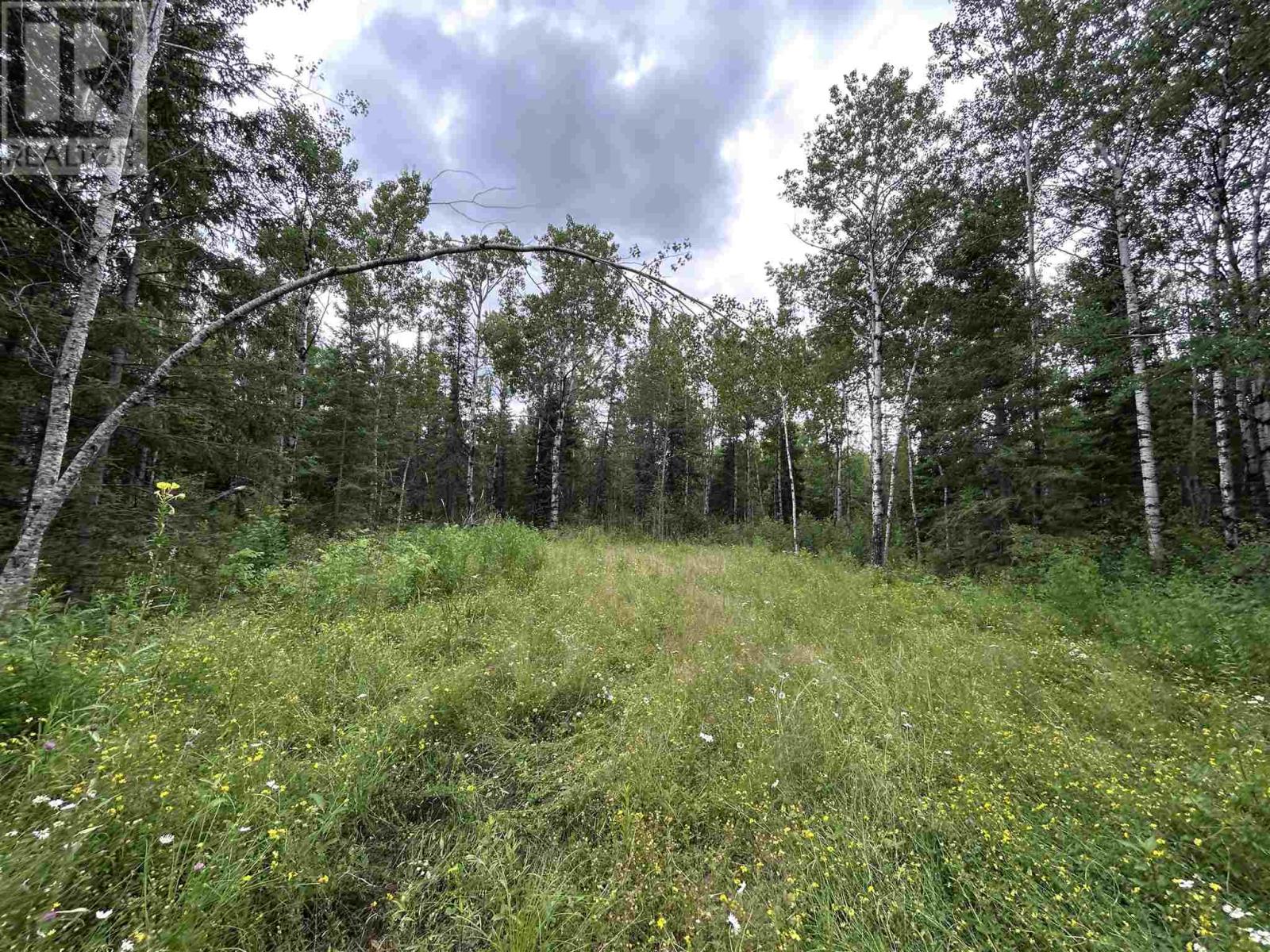 905 Frog Creek Rd, Alberton, Ontario  P9A 3M2 - Photo 9 - TB2600034