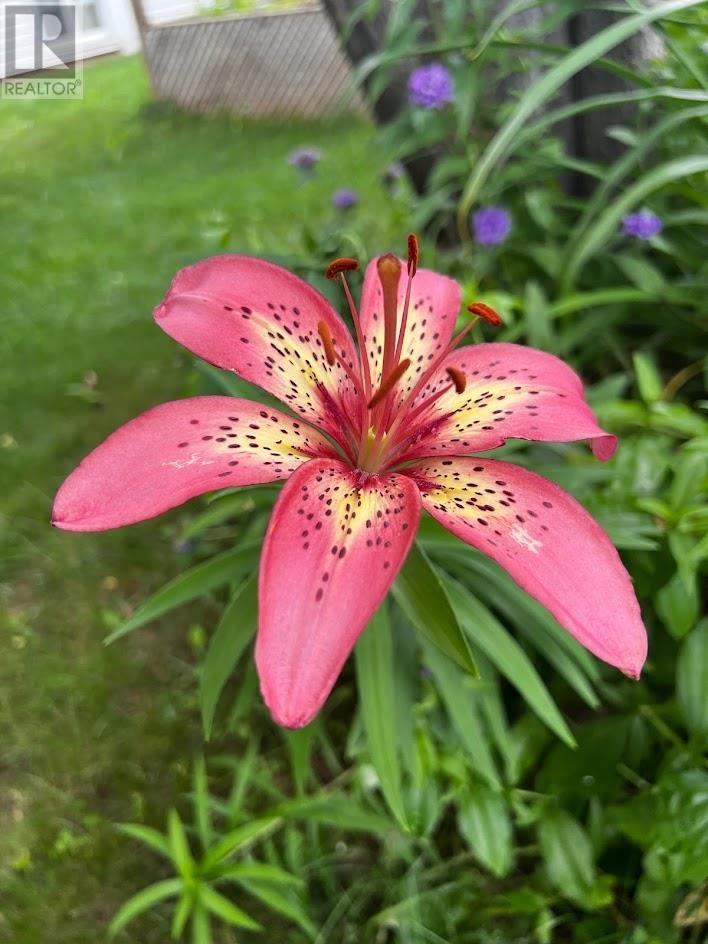 1755 Broadway Ave, Thunder Bay, Ontario  P7K 1M6 - Photo 34 - TB2600460