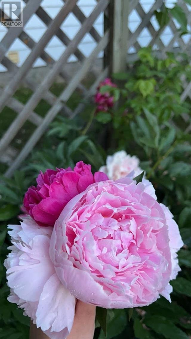 1755 Broadway Ave, Thunder Bay, Ontario  P7K 1M6 - Photo 36 - TB2600460