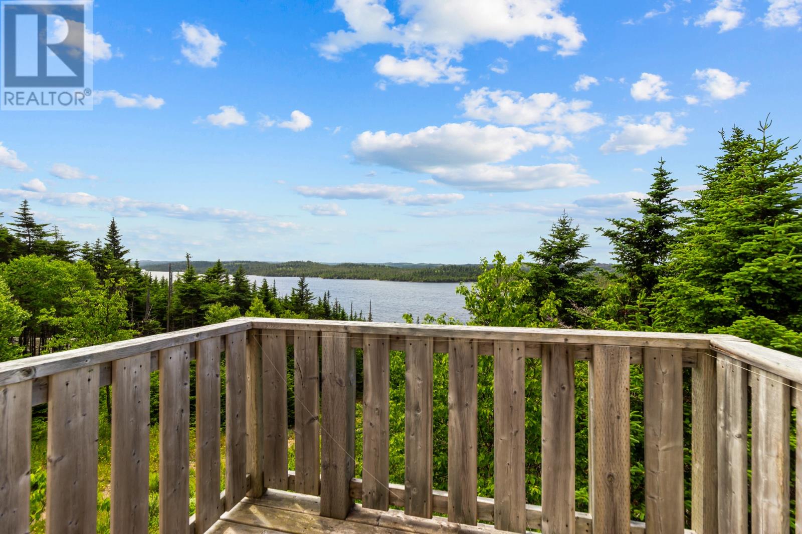 137 Pioneer Line, Salmonier, Newfoundland & Labrador  A0A 2R0 - Photo 37 - 1295294