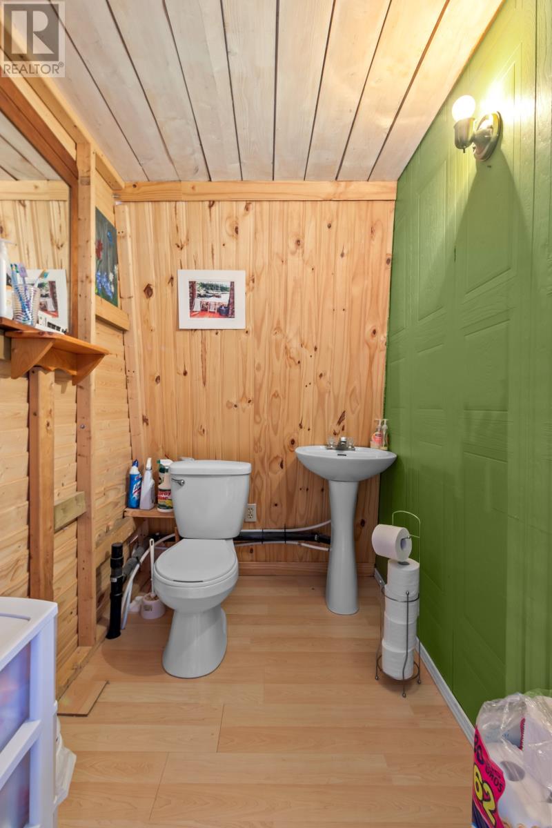 137 Pioneer Line, Salmonier, Newfoundland & Labrador  A0A 2R0 - Photo 40 - 1295294