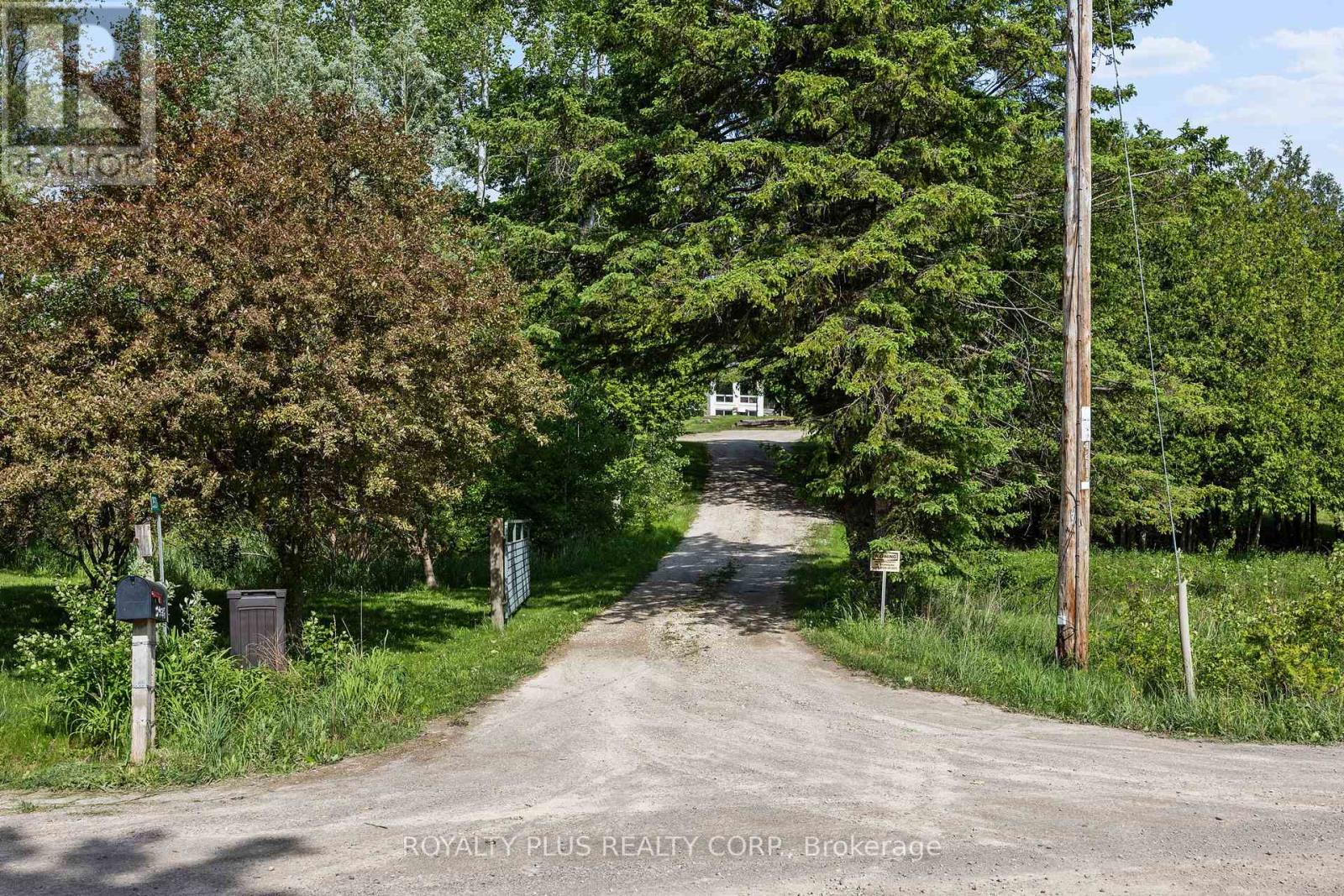 2531 Concession Road 3, Adjala-Tosorontio, Ontario  L0N 1P0 - Photo 4 - N12890628
