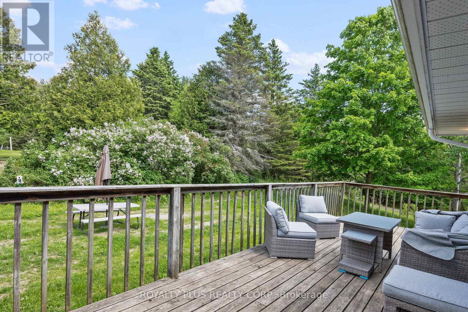 2531 Concession Road 3, Adjala-Tosorontio, Ontario  L0N 1P0 - Photo 42 - N12890628