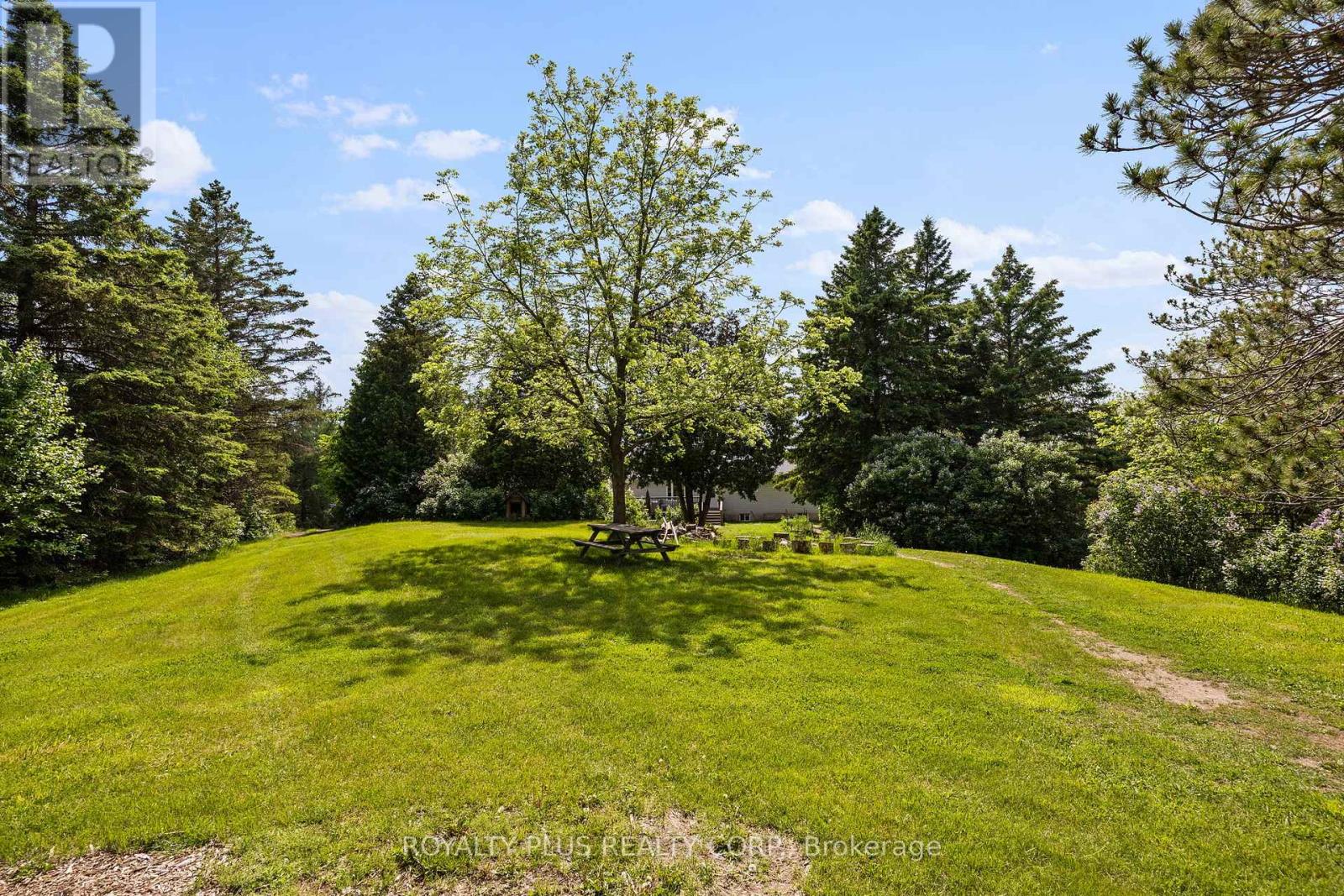 2531 Concession Road 3, Adjala-Tosorontio, Ontario  L0N 1P0 - Photo 45 - N12890628