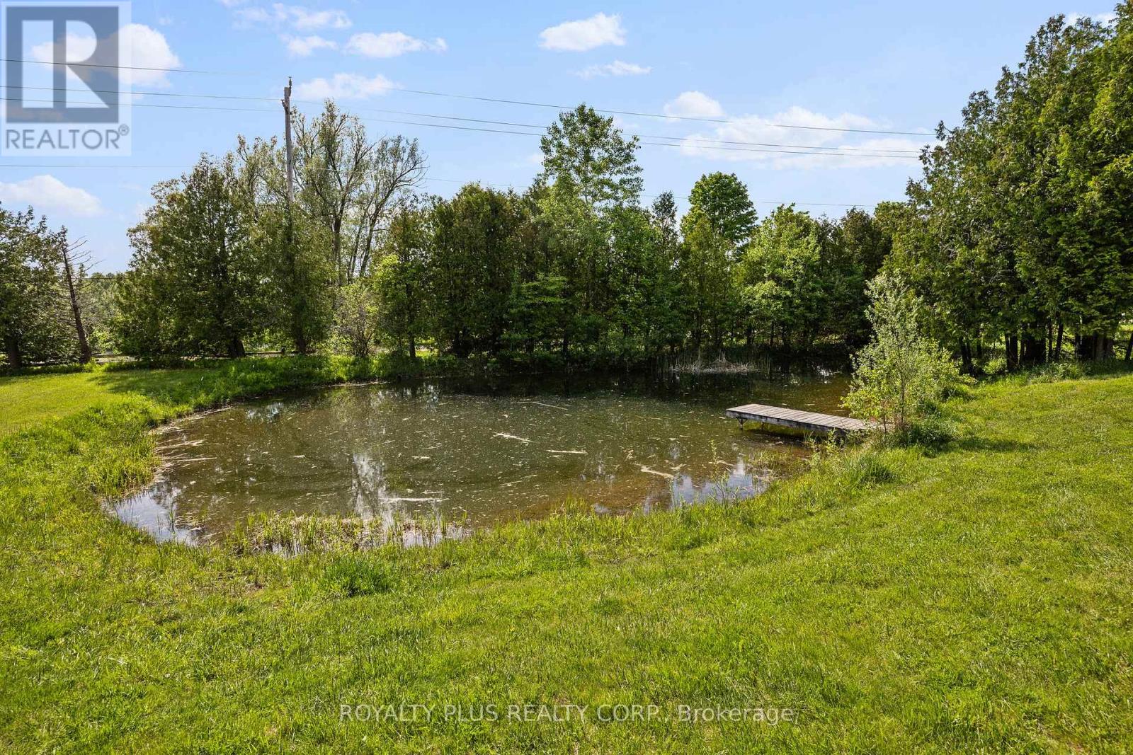 2531 Concession Road 3, Adjala-Tosorontio, Ontario  L0N 1P0 - Photo 47 - N12890628