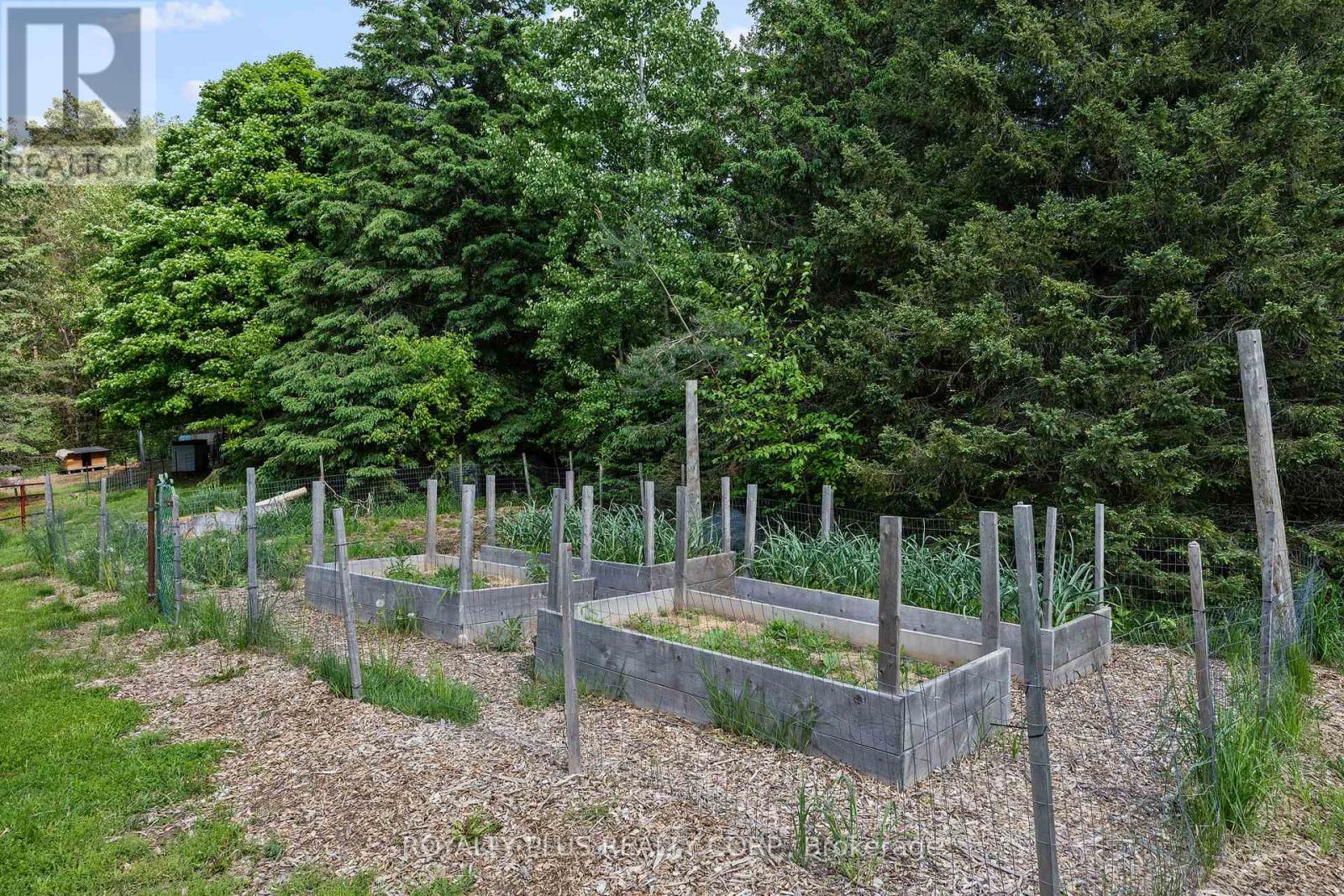 2531 Concession Road 3, Adjala-Tosorontio, Ontario  L0N 1P0 - Photo 48 - N12890628