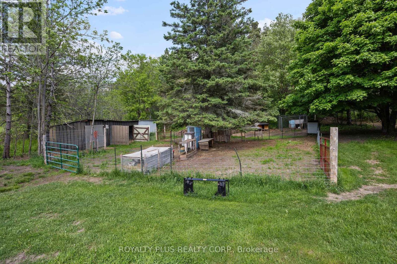2531 Concession Road 3, Adjala-Tosorontio, Ontario  L0N 1P0 - Photo 49 - N12890628