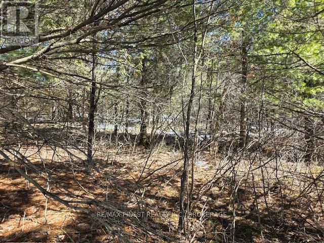 Lorem Ipsum D, Loyalist, Ontario  K0H  - Photo 8 - DEMO29479630