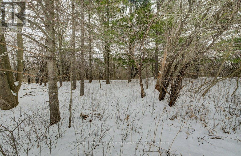 776 Scottsdale Drive, Guelph, Ontario  N1G 3L8 - Photo 41 - X12890540