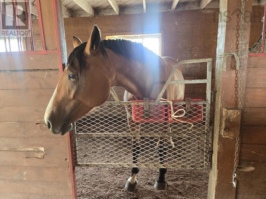 803 6 Highway, Marshville, Nova Scotia  B0K 1N0 - Photo 39 - 202422438