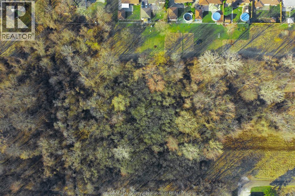 V/l Rankin Avenue, Windsor, Ontario  N9B 3W3 - Photo 10 - 26005523