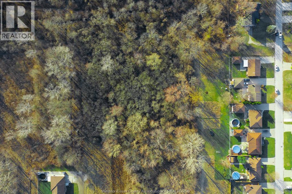 V/l Rankin Avenue, Windsor, Ontario  N9B 3W3 - Photo 9 - 26005523