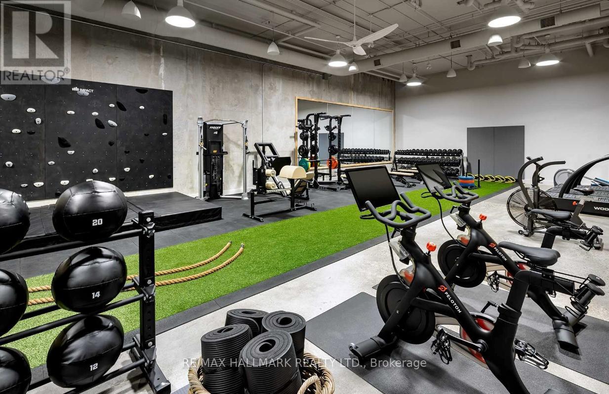 905 - 55 Stewart Street, Toronto (Waterfront Communities), Ontario  M5V 2V1 - Photo 21 - C12890756