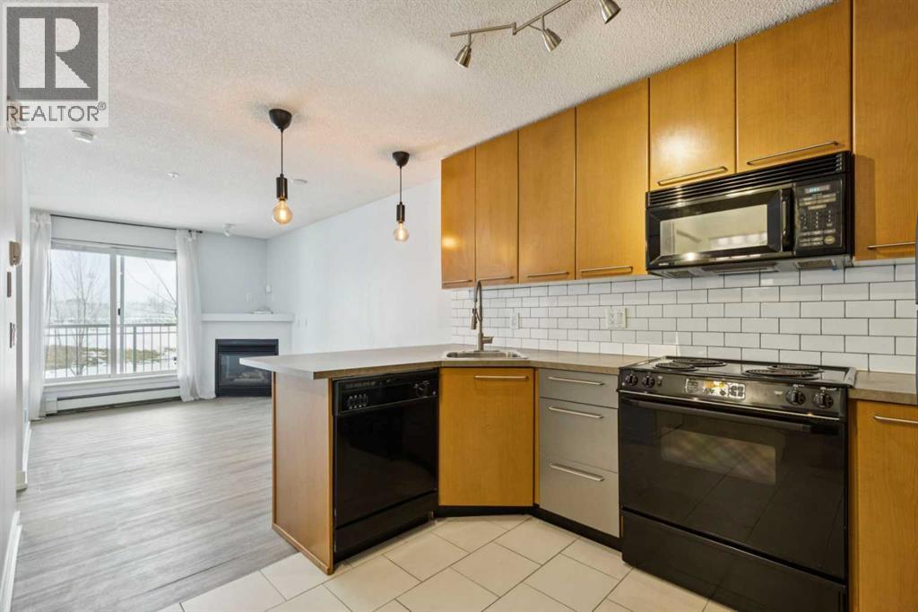 205, 35 Richard Court Sw, Calgary, Alberta  T3E 7N9 - Photo 3 - A2291360