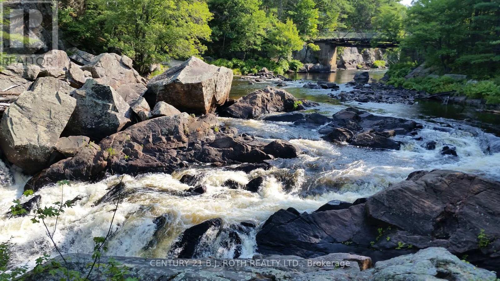8101 Kings River Road, Ramara, Ontario  L0K 2B0 - Photo 3 - S12677860