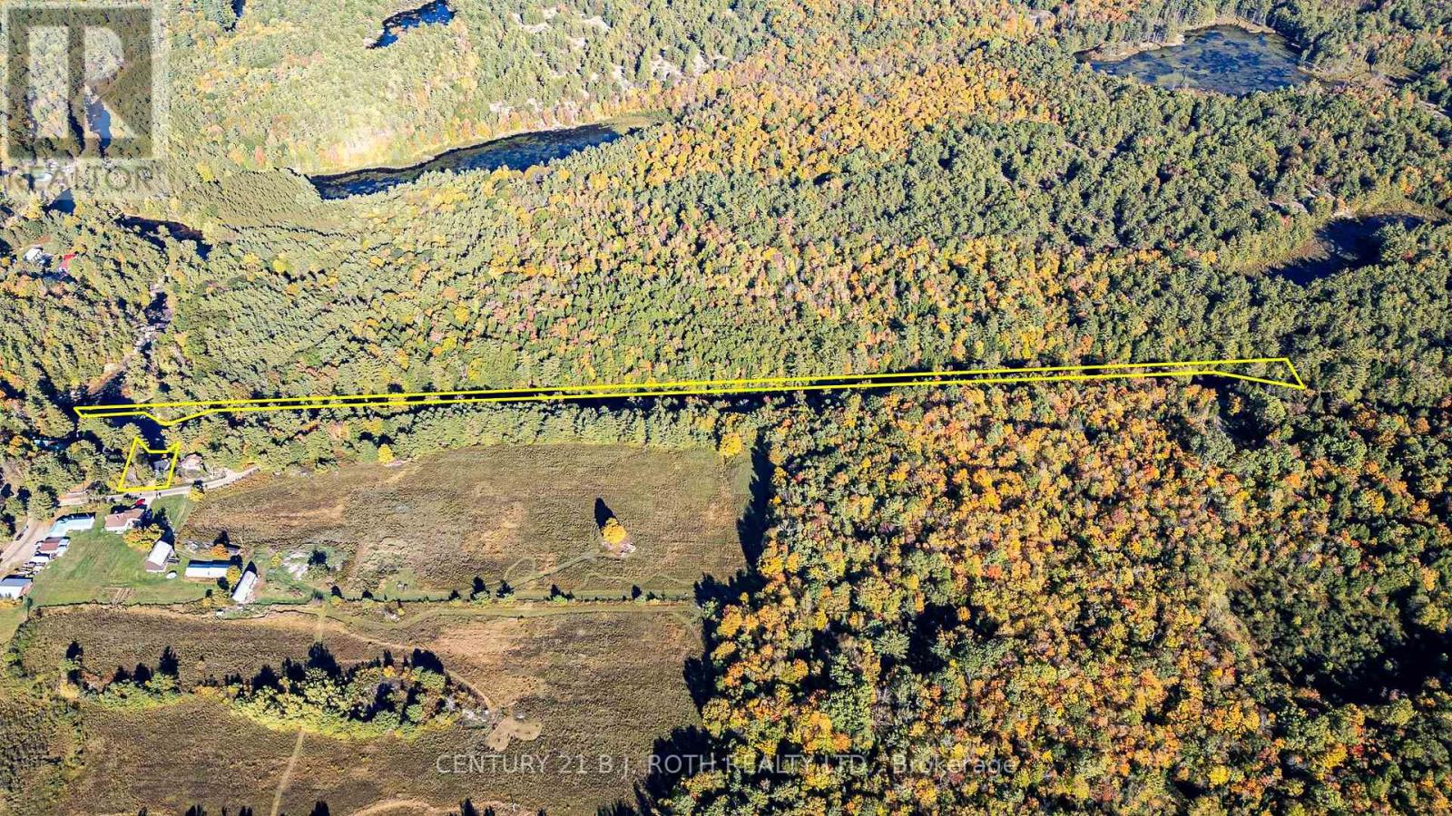 8101 Kings River Road, Ramara, Ontario  L0K 2B0 - Photo 31 - S12677860