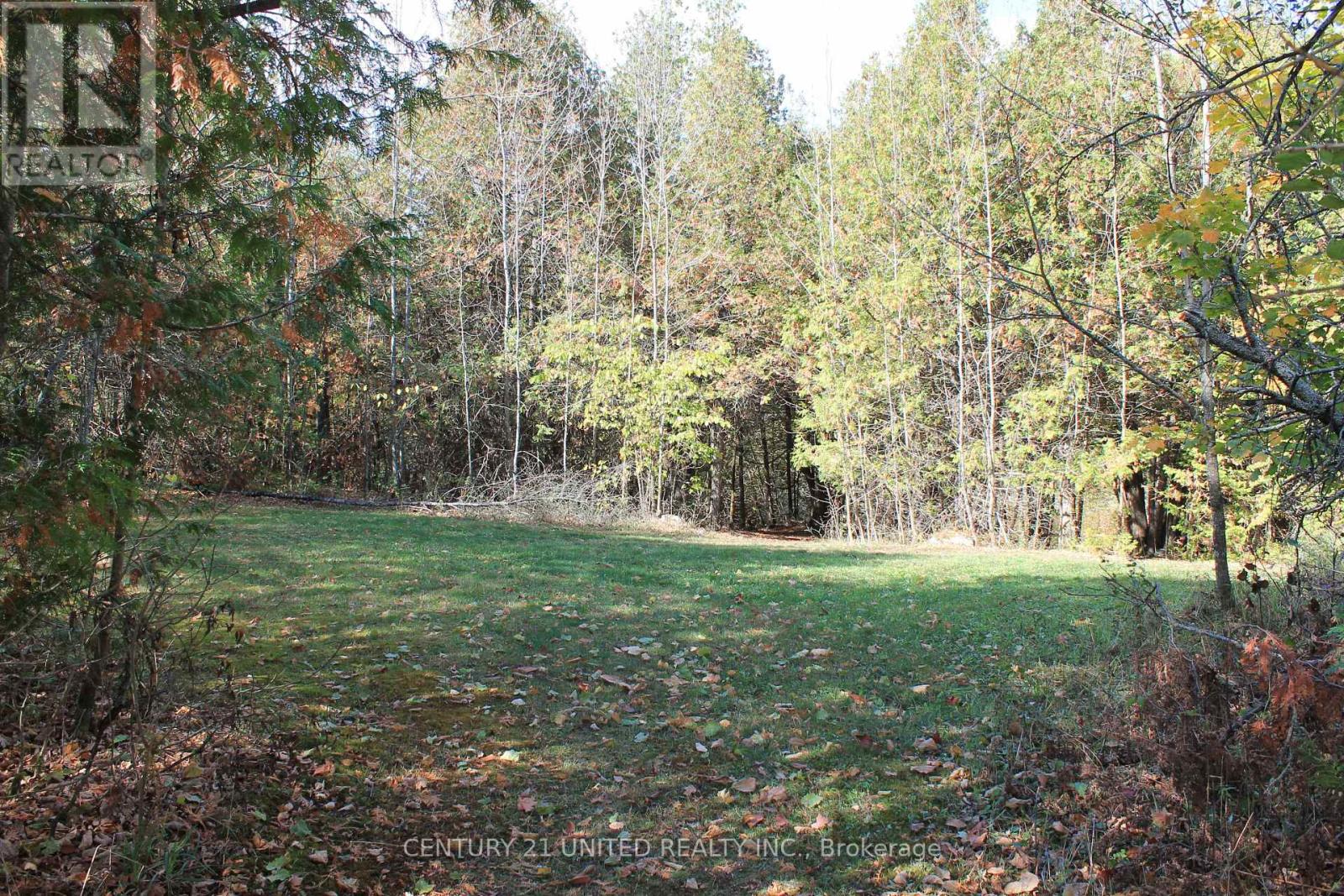 257 10th Line Rd South Dummer Road, Douro-Dummer, Ontario  K0L 2V0 - Photo 14 - X12890810
