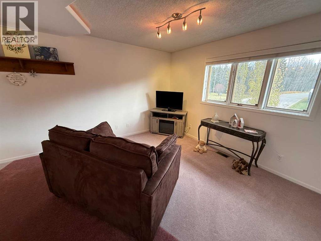 104 Mistaya Road, Hinton, Alberta  T7V 1T3 - Photo 13 - A2278640