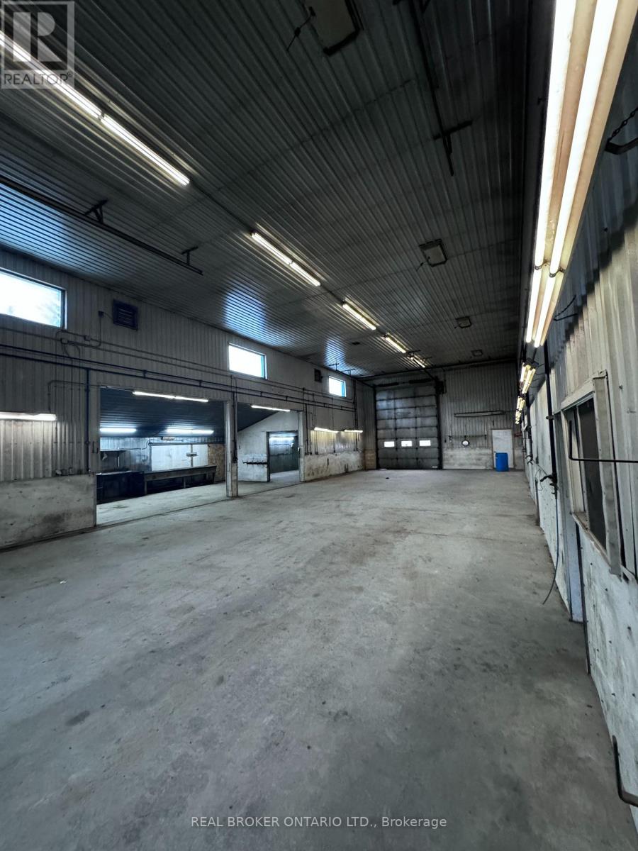 350 King Street, Minto, Ontario  N0G 2P0 - Photo 6 - X12891032