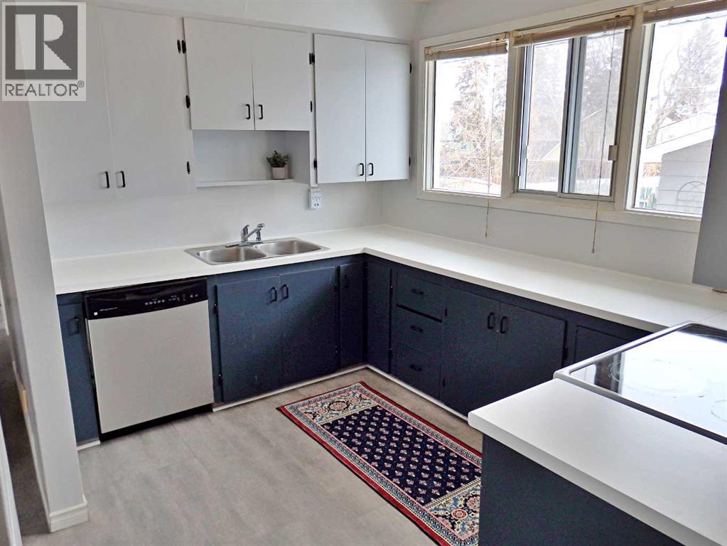 4704 48b Avenue, Vermilion, Alberta  T9X 1R8 - Photo 10 - A2292976