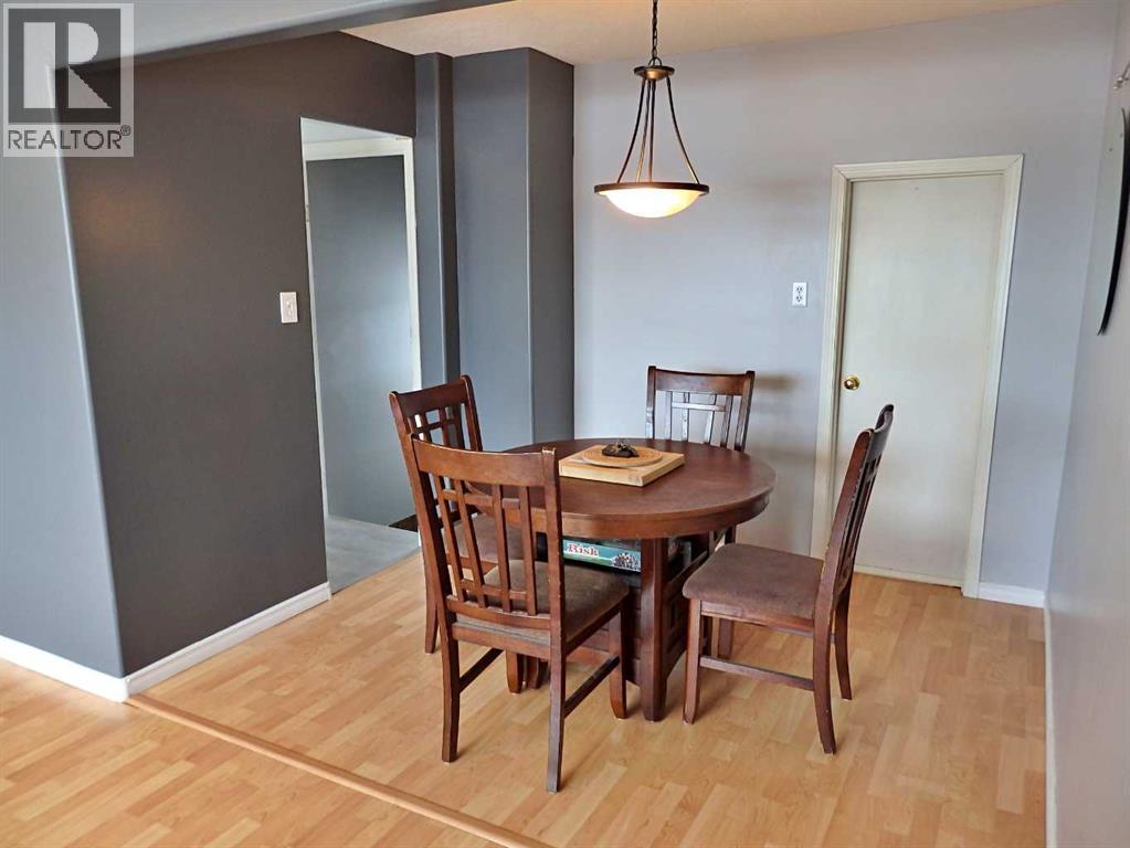 4704 48b Avenue, Vermilion, Alberta  T9X 1R8 - Photo 9 - A2292976