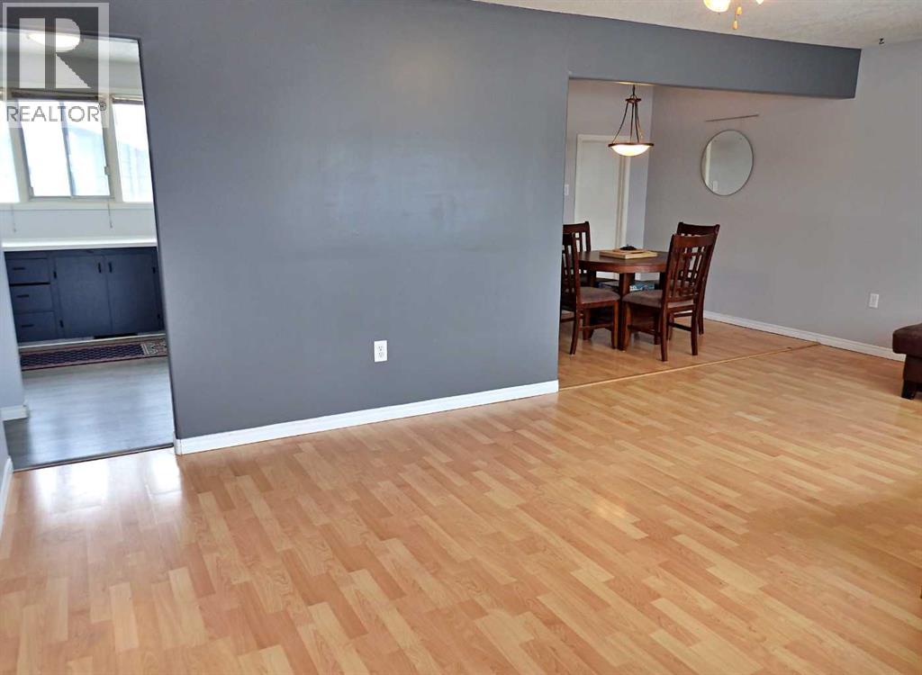 4704 48b Avenue, Vermilion, Alberta  T9X 1R8 - Photo 7 - A2292976