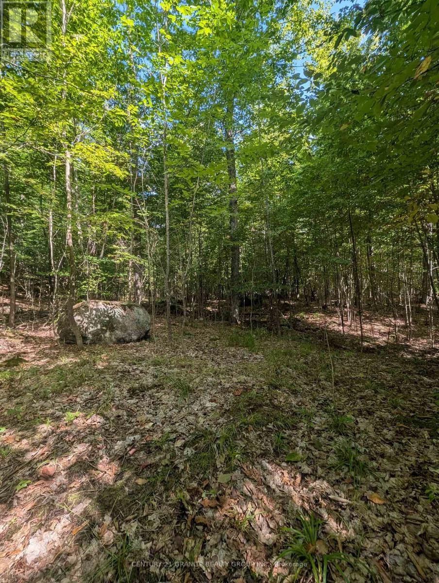 00 Kamaniskeg Lake Road, Hastings Highlands (Bangor Ward), Ontario  K0J 1L0 - Photo 2 - X12891178