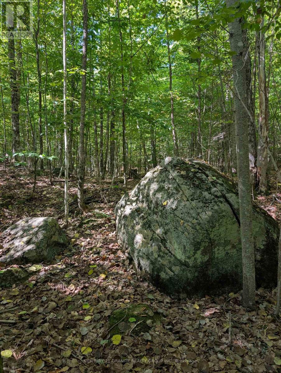 00 Kamaniskeg Lake Road, Hastings Highlands (Bangor Ward), Ontario  K0J 1L0 - Photo 3 - X12891178