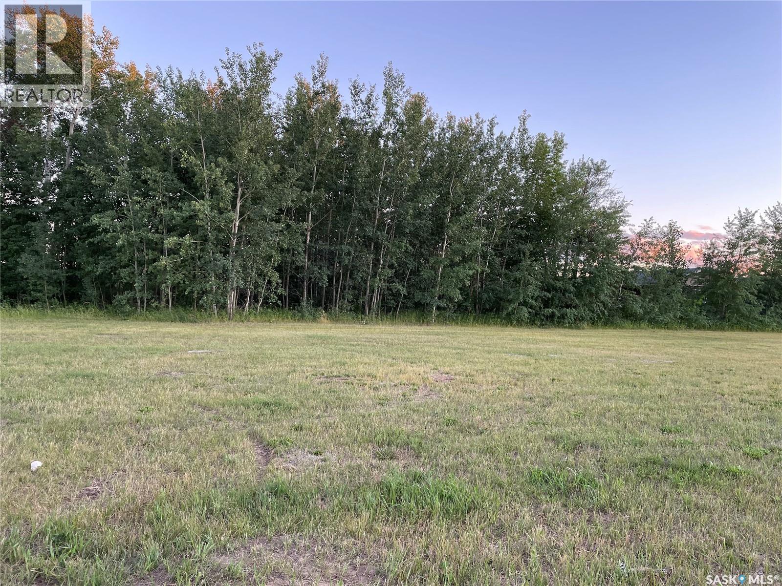404 Park Drive, Tobin Lake, Saskatchewan  S0E 1E0 - Photo 2 - SK014530