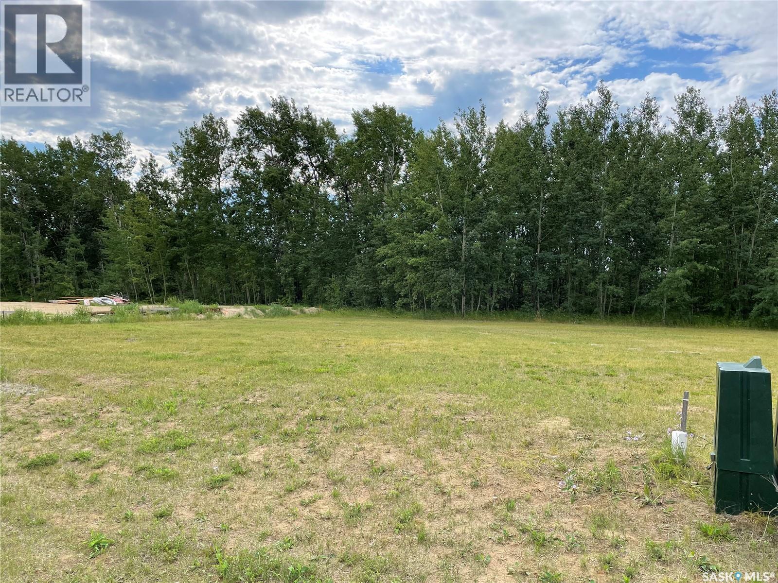 404 Park Drive, Tobin Lake, Saskatchewan  S0E 1E0 - Photo 6 - SK014530