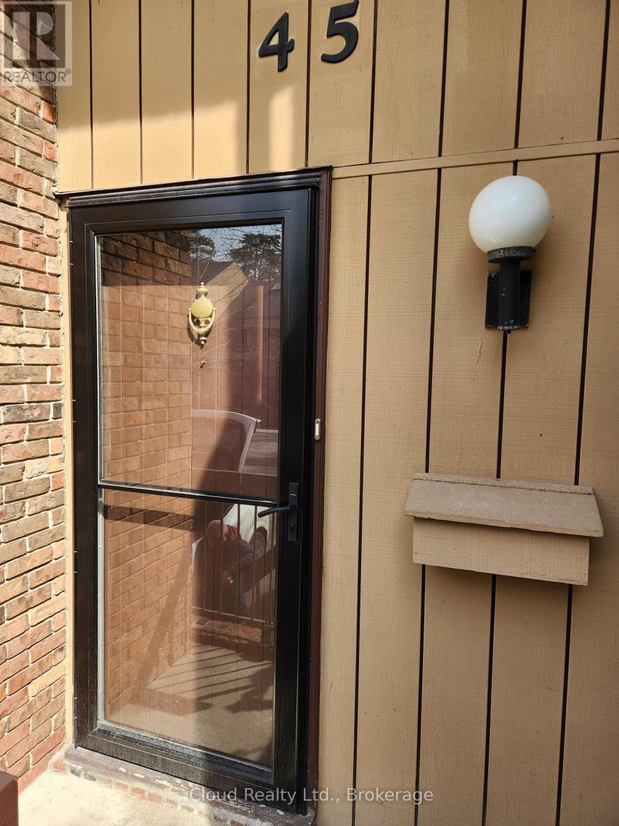 45 - 178 Scott Street, St. Catharines, Ontario  L2N 6Y5 - Photo 3 - X12891104