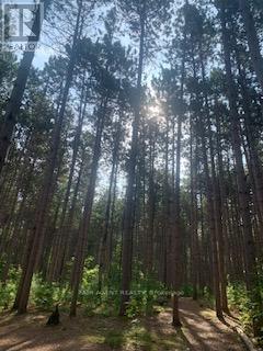 164 Baillie Avenue, Ottawa, Ontario  K0A 3M0 - Photo 33 - X12891390