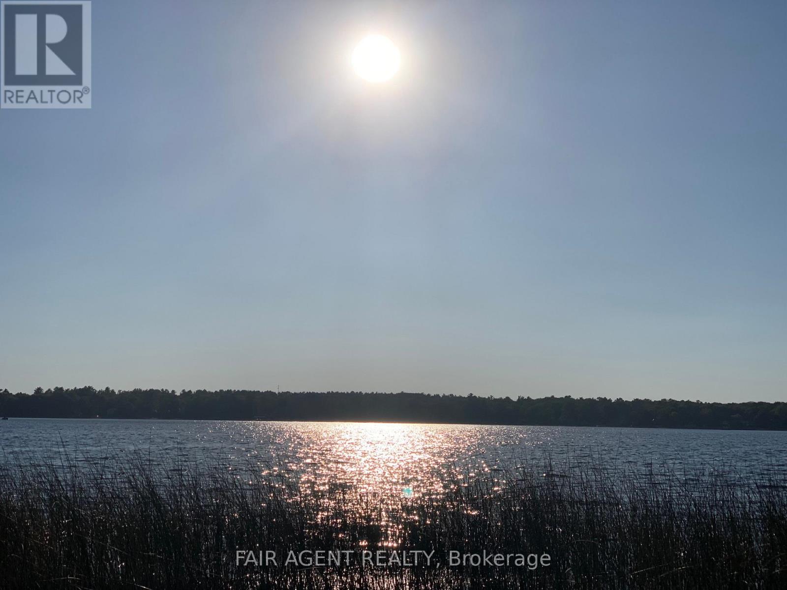 164 Baillie Avenue, Ottawa, Ontario  K0A 3M0 - Photo 39 - X12891390