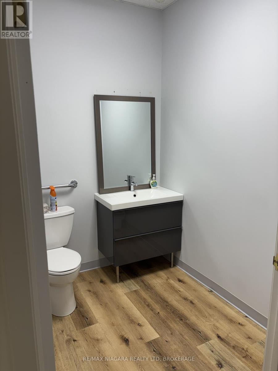 8 Hiscott Street, St. Catharines, Ontario  L2R 1C6 - Photo 12 - X12891452