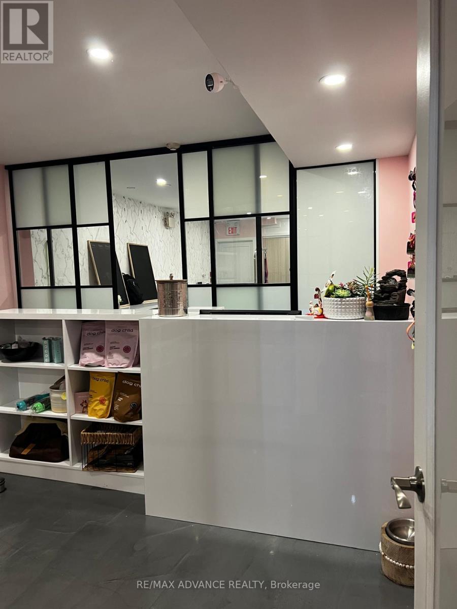 BSMT - 642 QUEEN STREET W, Toronto, Ontario