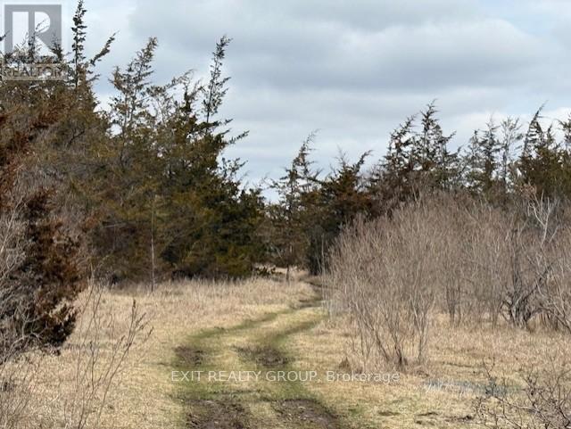 1047 Lazier Road, Tyendinaga, Ontario  K0K 3A0 - Photo 41 - X12891582