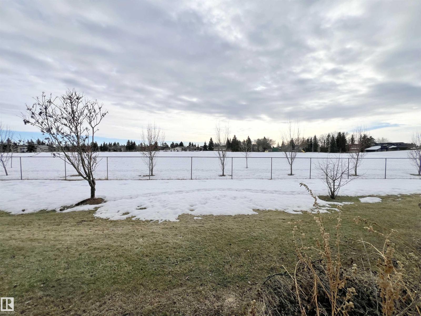 11357 22 Av Nw, Edmonton, Alberta T6J 4V8 - Photo 13 - E4473272