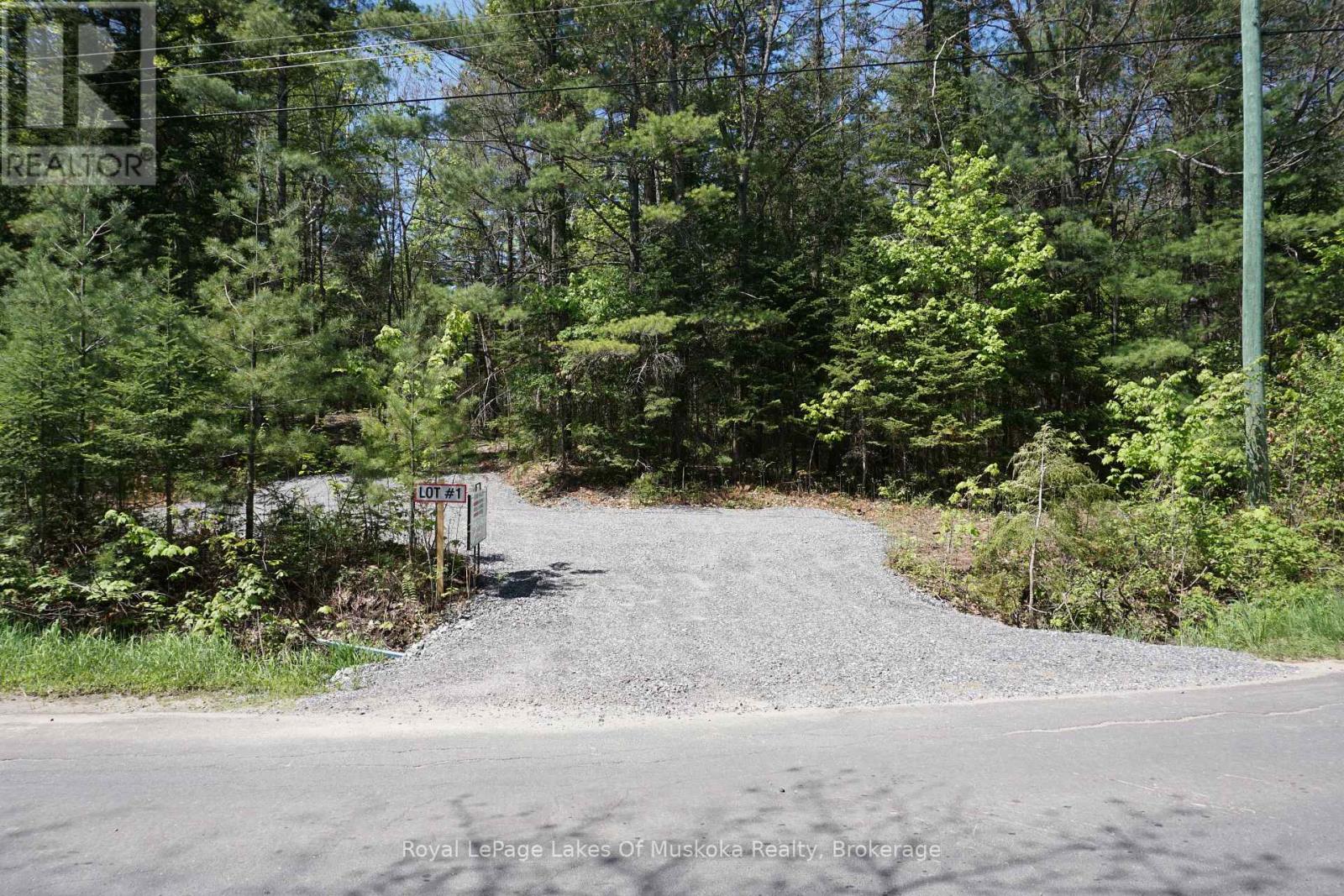 Lot 1 Fairy Falls Road Nw, Lake Of Bays, Ontario  P0B 1A0 - Photo 1 - X12891592