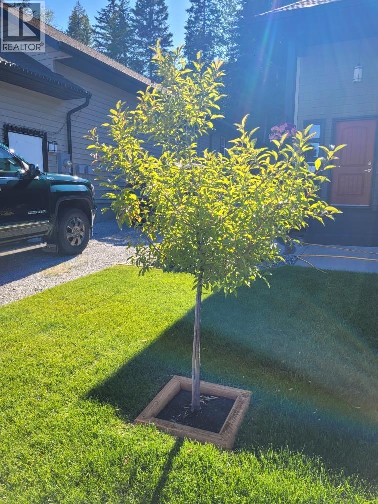 104 6525 Domano Boulevard, Prince George, British Columbia  V2N 0C9 - Photo 34 - R3100544