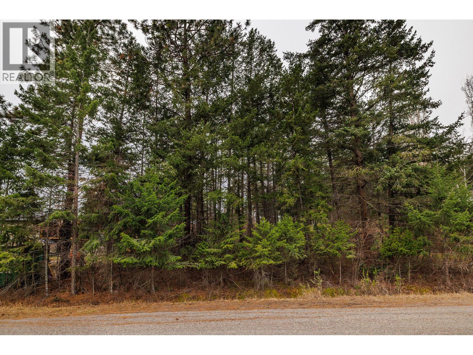 10700 Pinecrest Road, Vernon, British Columbia  V1H 2C1 - Photo 6 - 10379197