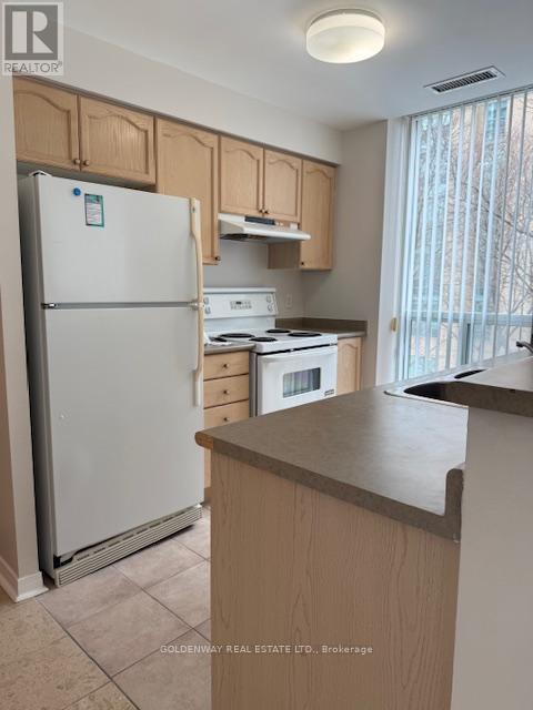 316 - 28 Olive Avenue, Toronto, Ontario  M2N 4N5 - Photo 7 - C12825034