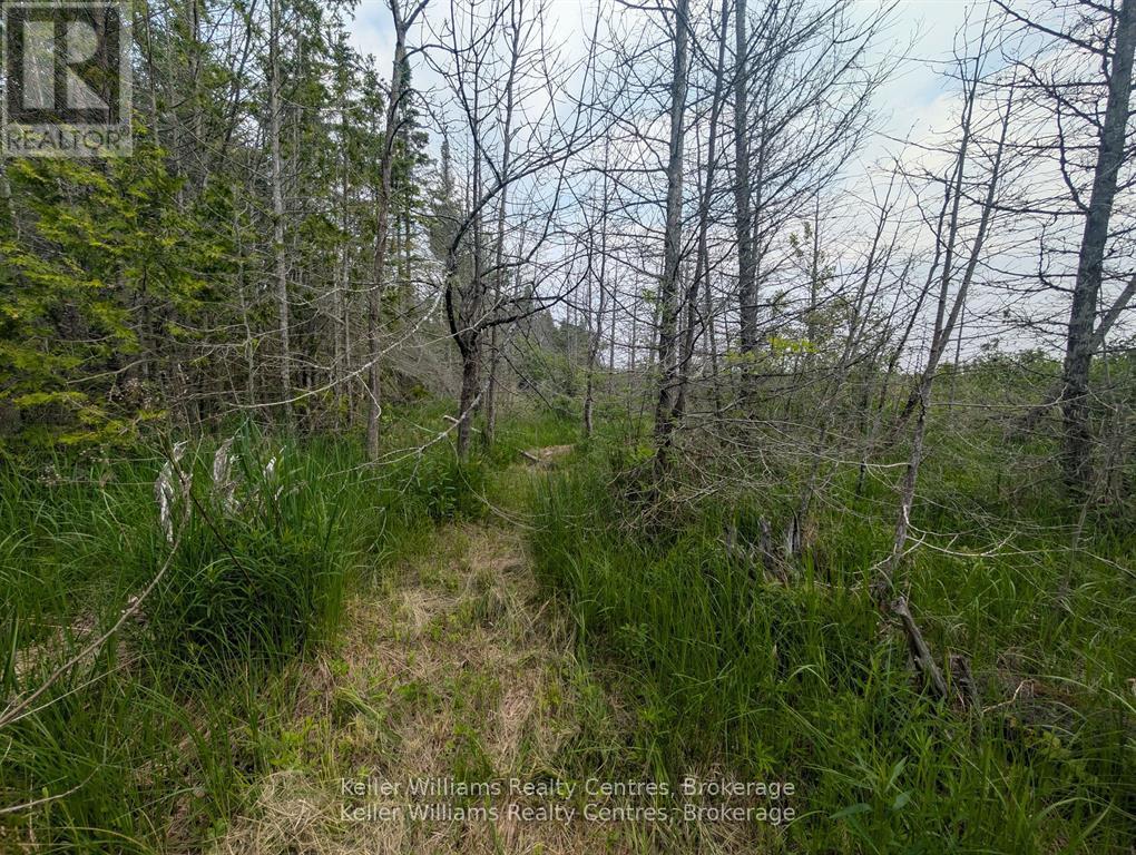 Pcl 2-3 Pt Lt 2 Walter Charman Drive, Northern Bruce Peninsula, Ontario  N0H 1W0 - Photo 10 - X12891744