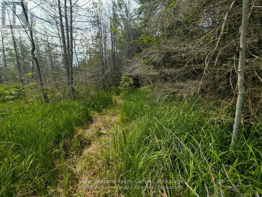 Pcl 2-3 Pt Lt 2 Walter Charman Drive, Northern Bruce Peninsula, Ontario  N0H 1W0 - Photo 13 - X12891744